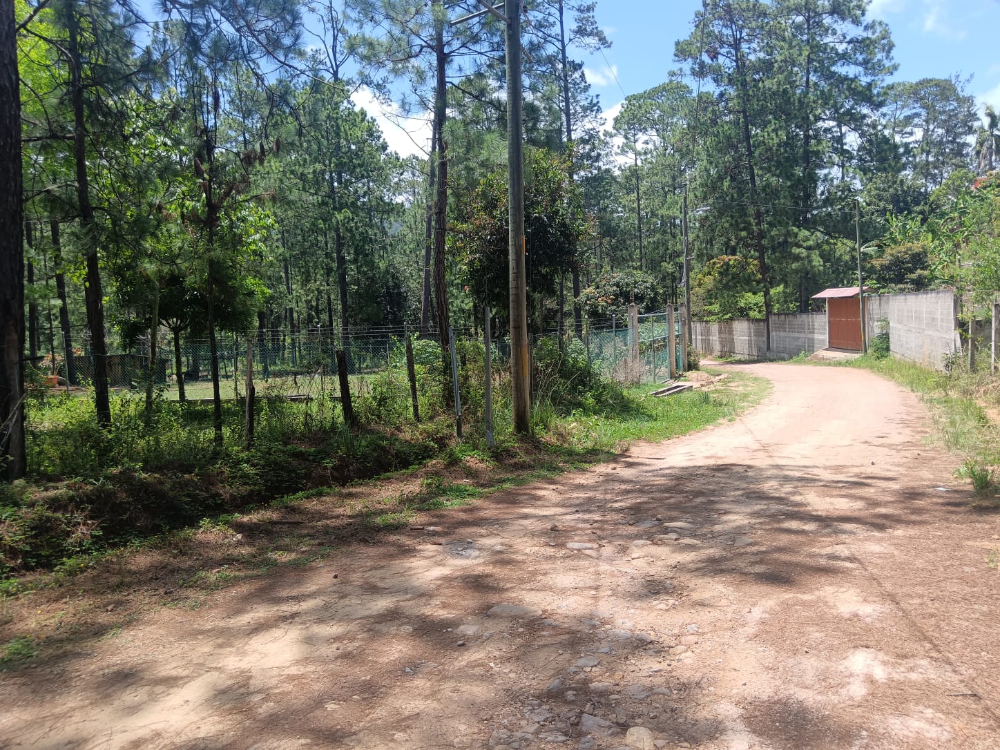 VALLE DE ANGELES, FRANCISCO MORAZÀN